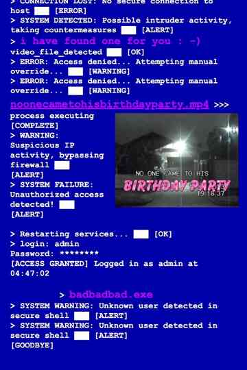 No One Came To His Birthday Party Poster
