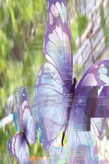 sacha_butterfly_hypno_reconstruction1.mp4 Poster