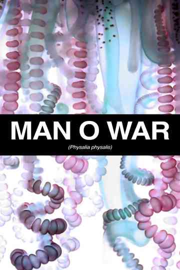 Man O War Poster