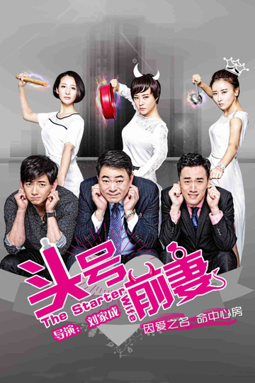 The Starter Wife Poster