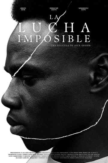 The Impossible Fight Poster