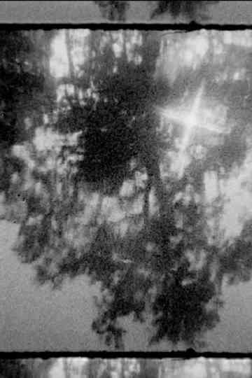 In the Darkness Poster