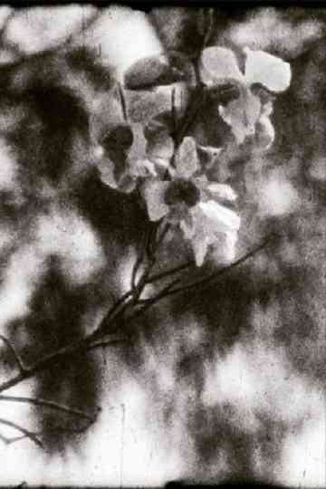 A Thousand Days, A Thousand Nights Poster