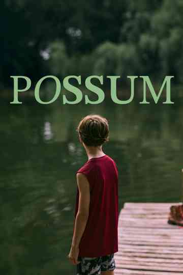 Possum Poster