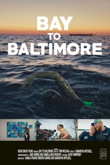 Bay to Baltimore