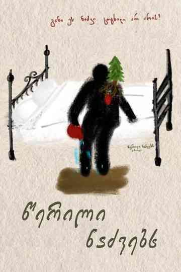 A Letter to Fir Trees