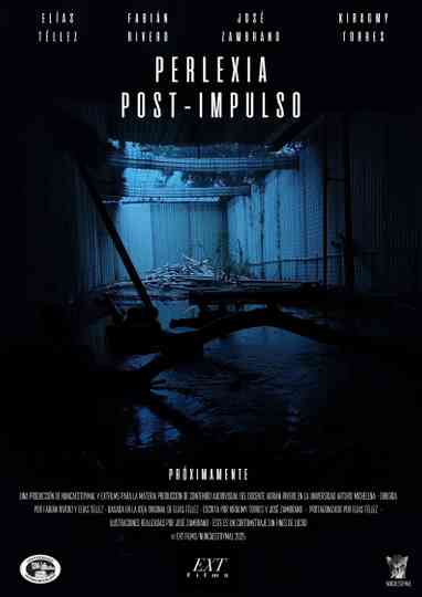 Perlexia: Post-Impulso Poster