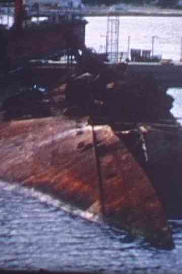 Visiones desconocidas de Mar del Plata Poster