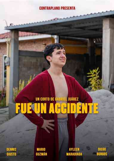 Fue un accidente Poster