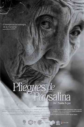 Pliegues de Pausalina Poster