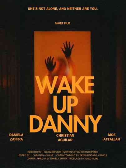 Wake Up Danny Poster