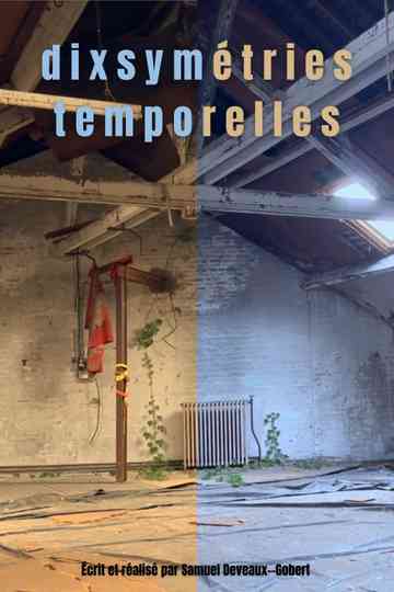 dixsymétries temporelles Poster