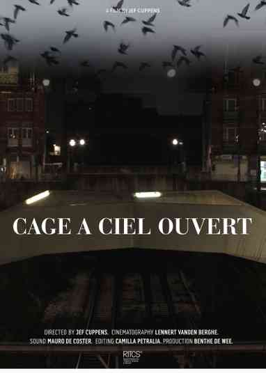 Cage À Ciel Ouvert Poster