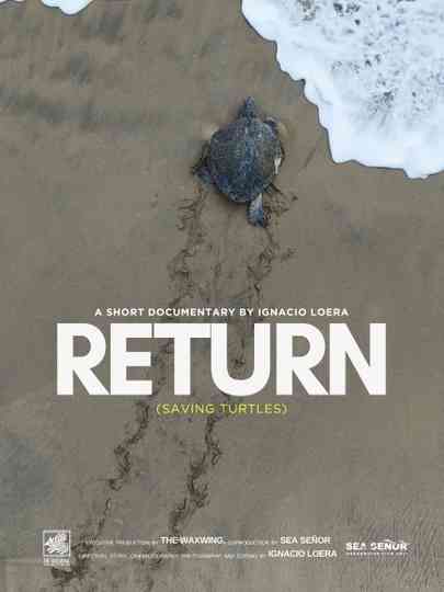 Return: Saving Turtles Poster