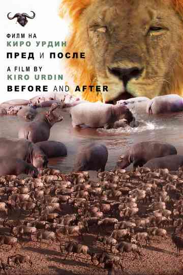 Before and After Poster