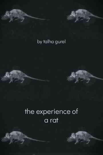 The Experience of a Rat Poster