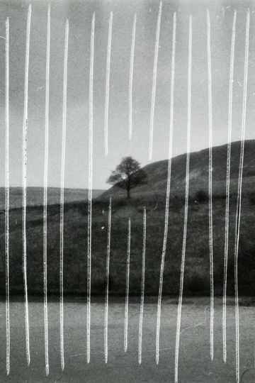 i'm 22 now but i won't be for long