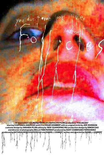 FOLLICLES Poster