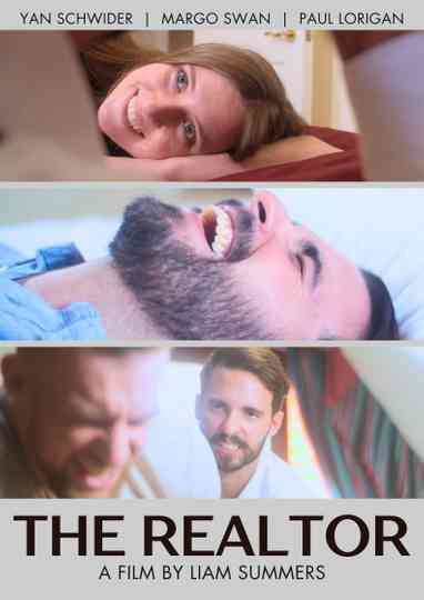 The Realtor Poster