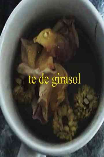 te de girasol Poster