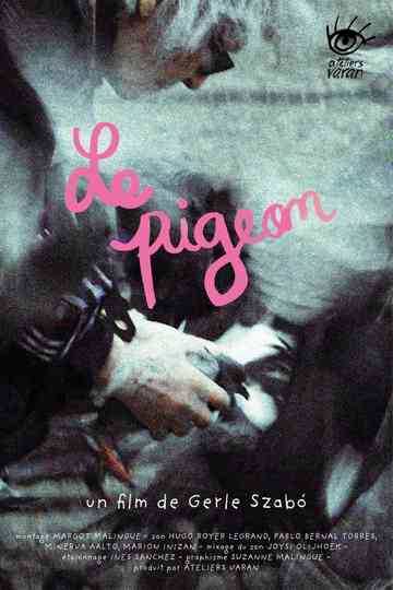 The Pigeon Poster