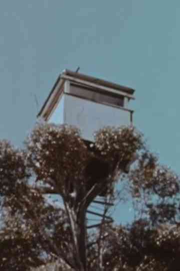 The Karri Forest Poster