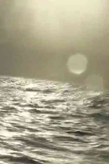 Le rêve est fini Poster