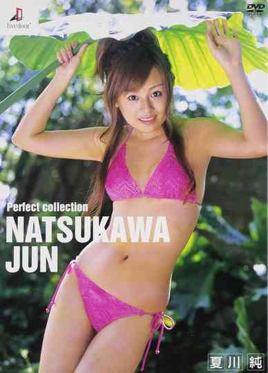 夏川純 Perfect collection Poster