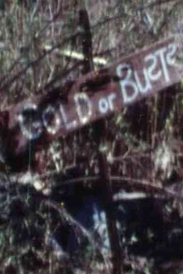 Gold or Busts Poster