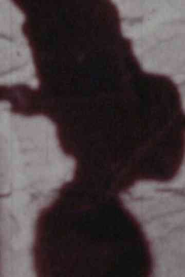 Señales de vida Poster