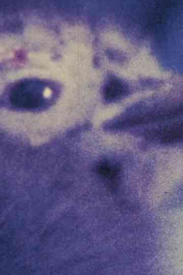 Capricornio 78 Poster