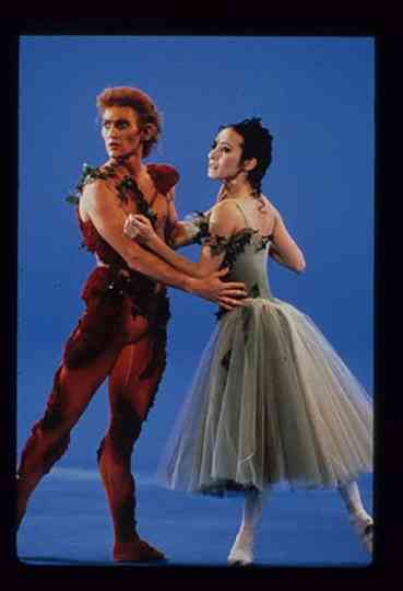 To Dream Of Roses Poster