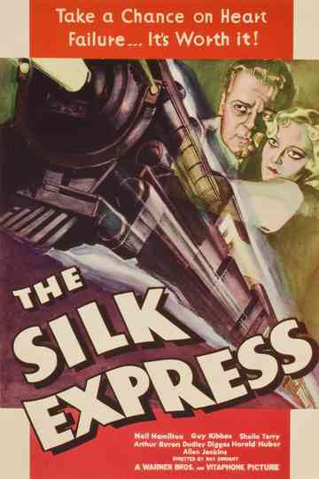 The Silk Express Poster