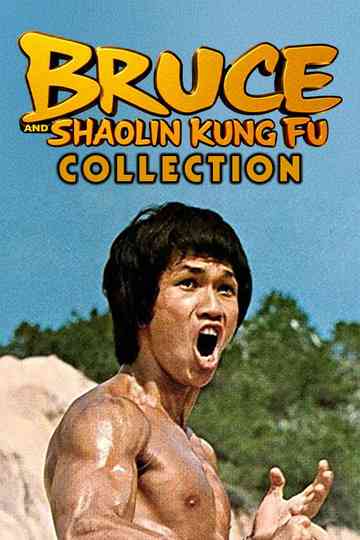 Bruce and Shaolin Kung Fu Collection Poster