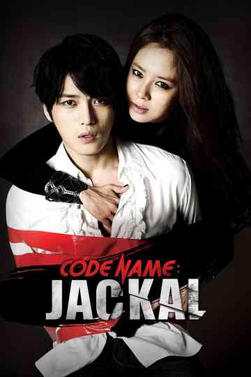 Code Name: Jackal Poster