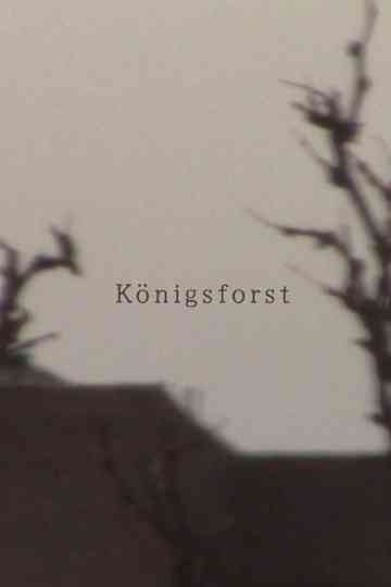 Königsforst Poster