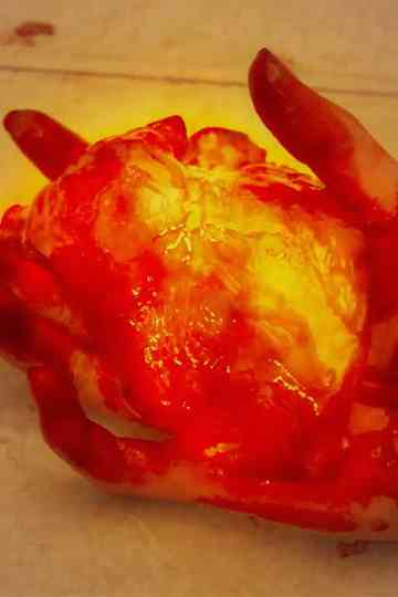 A Light That Never Goes Out Poster