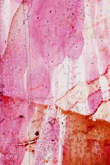 Xtended Release Poster