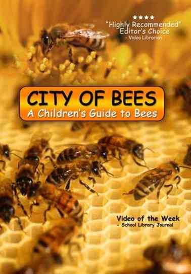 City of Bees Poster
