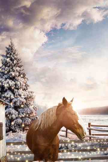 December Horses Poster