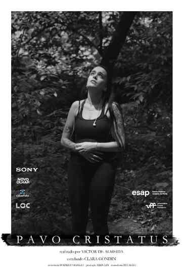 Pavo Cristatus Poster