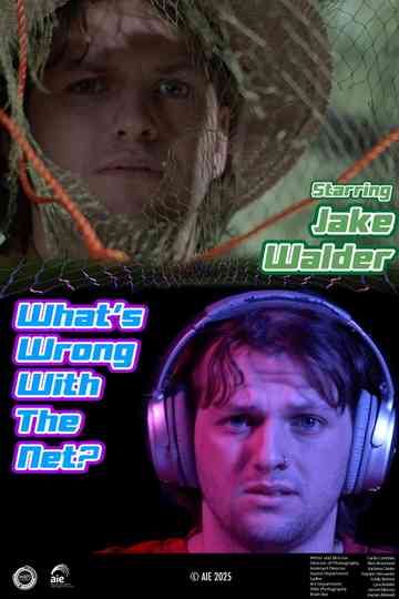 What's Wrong with the Net? Poster
