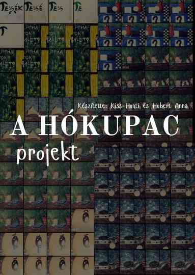 A HÓKUPAC projekt Poster