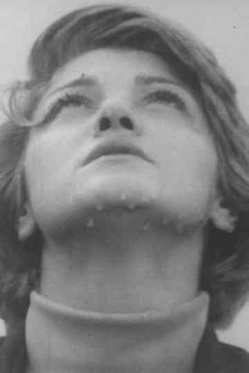 Spring Behind the Window Poster