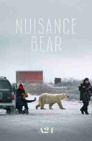 Nuisance Bear Poster