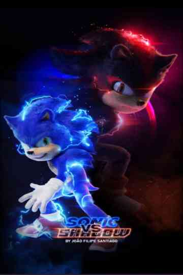 Sonic vs Shadow Poster