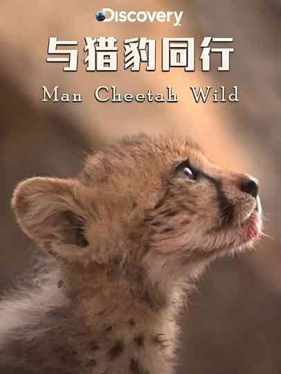 Man Cheetah Wild Poster