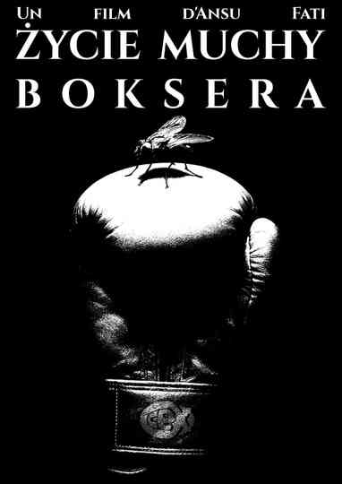 ŻYCIE MUCHY BOKSERA Poster