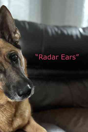 "Radar Ears" Poster