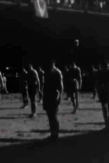 Corpo de Bombeiros do Distrito Federal Poster